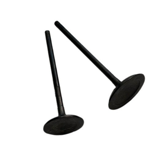 Intake and exhaust valves are suitable for Ford for Lincoln 3.5L and 3.7L DOHC 24V engines. (07-17-)