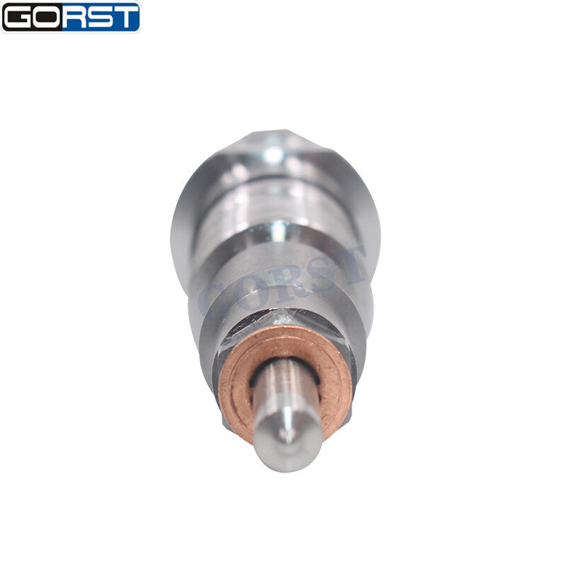 Fuel Common Rail Injector 0445120120 for Vw Volksbus 0986435543 v