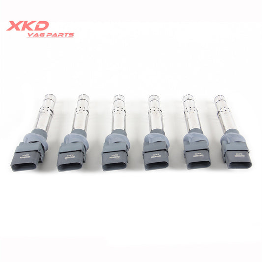 6 3.2L and 3.6L ignition coils suitable for Volkswagen for Passat Touareg, for Audi Q7 BHR, 022905100H