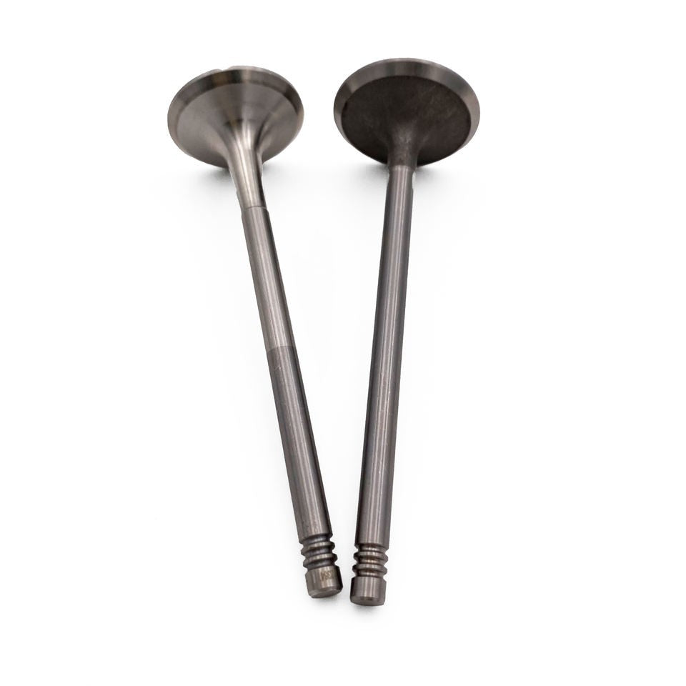 Valves for BMW 325i 330Ci 330i 530i M3 E36 E39 E46 E60 M52 M54 S52