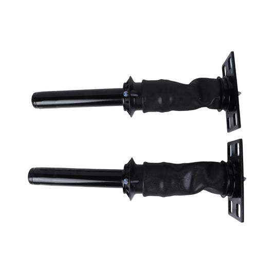 2 Air Suspension Strut Assembly For International Prostar 08-2017 3595977C95 n