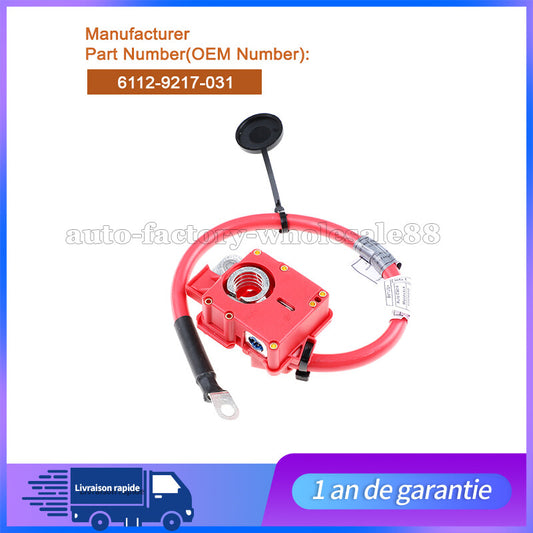 Cable Positif de Batterie Pour E82 E84 E88 E90 E91 E92 61129217031 Neuf n