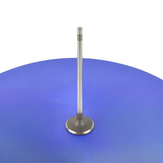 68147265AA Intake Valve for Ram 1500 for Jeep Grand Cherokee