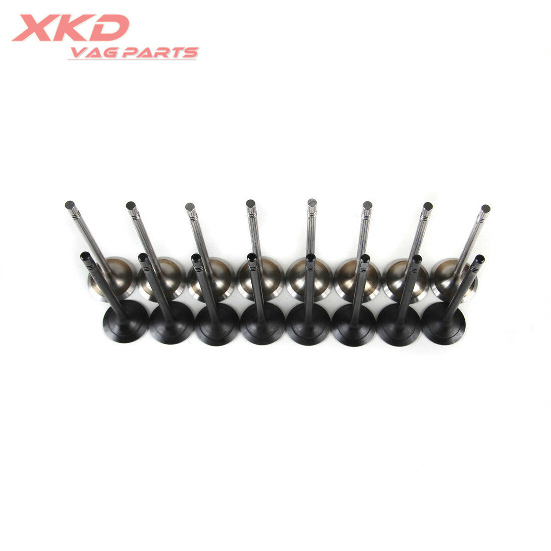 EA211 1.6L engine intake and exhaust valve kit suitable for Volkswagen for Golf , Polo, Caddy, CWVA