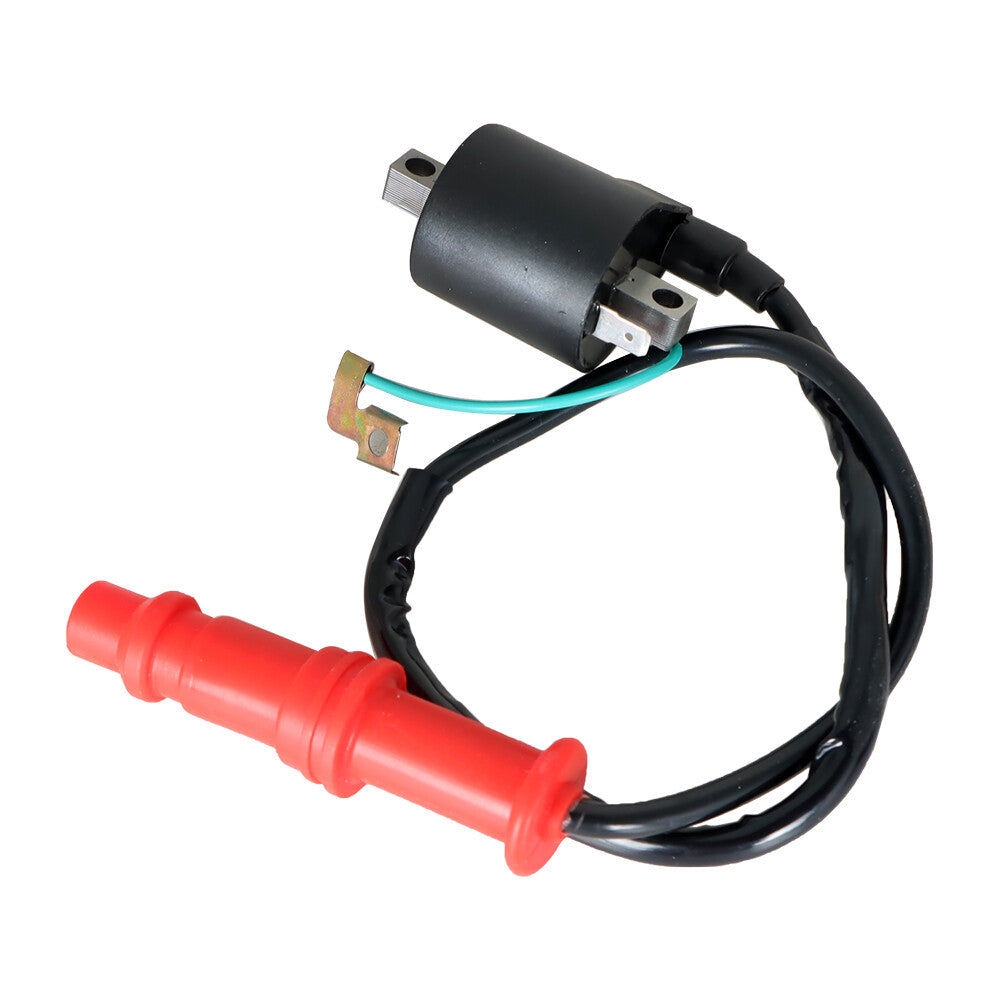 Ignition coil, CDI, relay regulator, spark plugs suitable for 1996-2001 for Polaris Sportsman 500- n