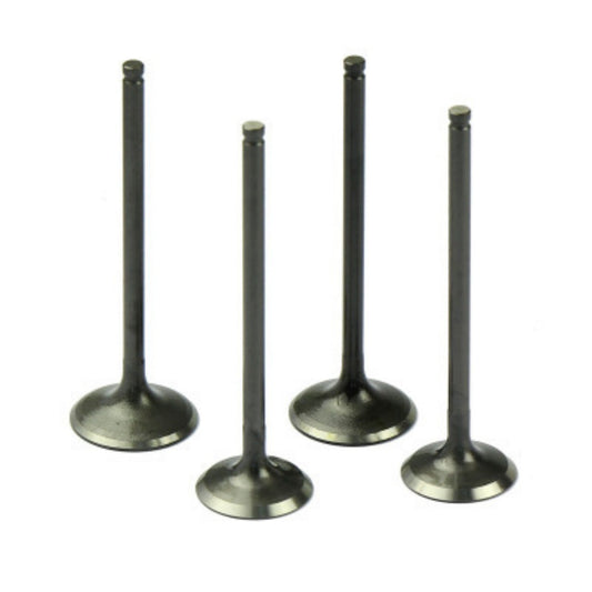 Intake Valve for Mercury Cougar '99-'02