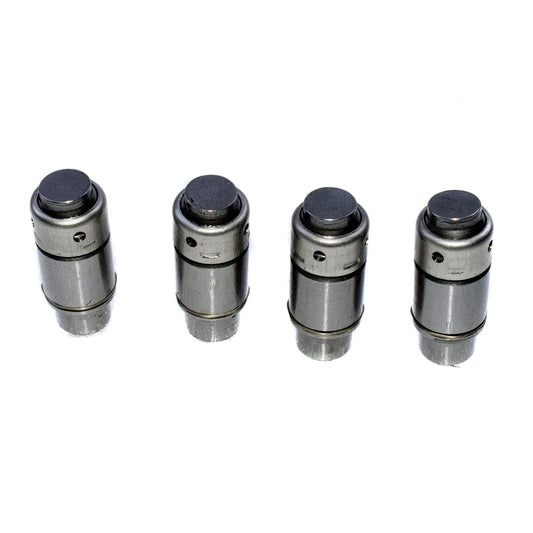 4 Pieces Hydraulic Valve Lifter for CEGM S-KLASSE CLK SL Viano Vito- v