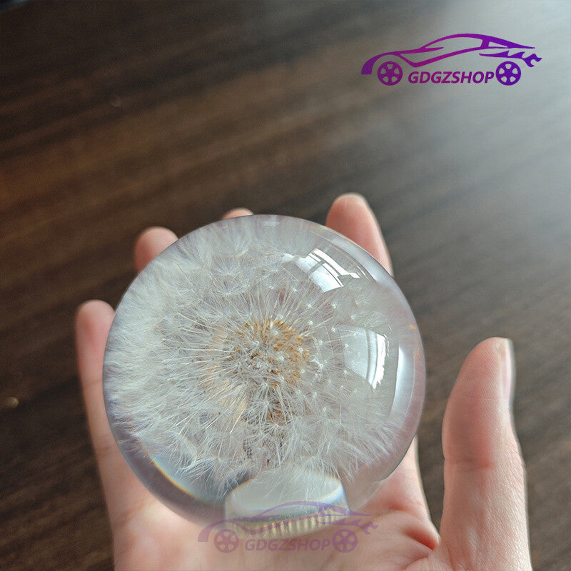 Dandelion Flowers Shift Knob Universal Crystal Ball Gear Shifter Head w/ Adapter Q