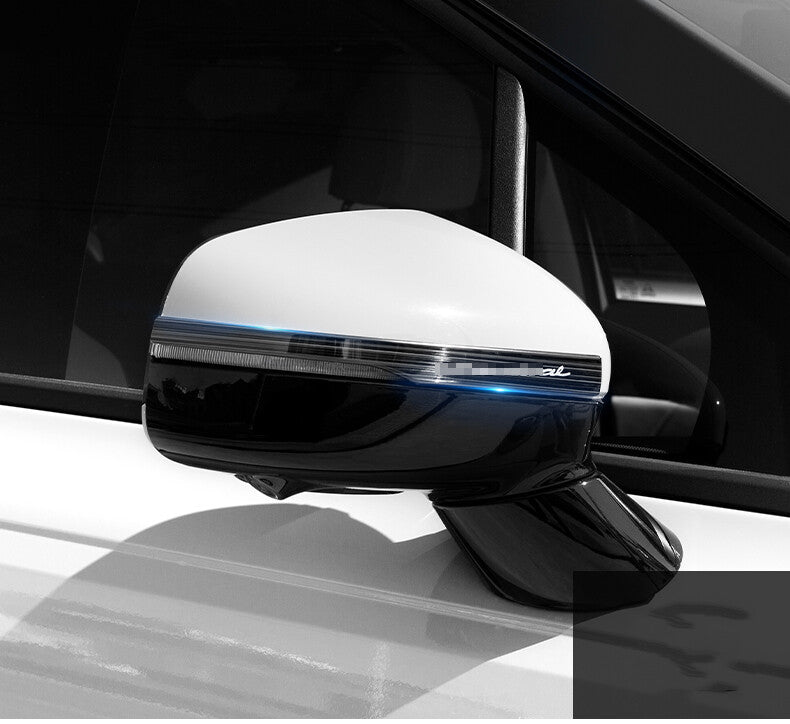 for Kia Carnival 2022-2023 black Steel Car Rear View Side Door Mirror Strip Trim