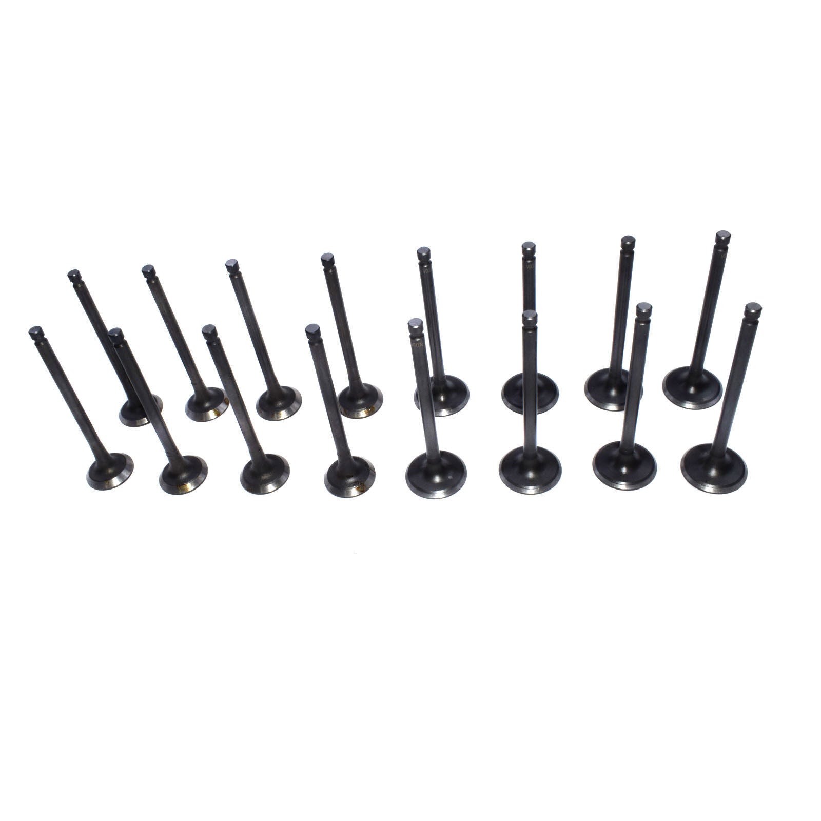 16 PCS Fit for Hyundai Accent for Kia Rio Rio5 1.6L Intake  Exhaust Valve Kit New