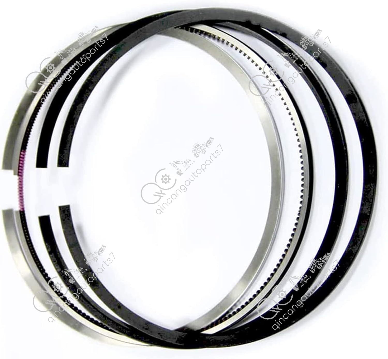 6sets Piston Rings for NT855 NTA855 NH855 5.500 3801056
