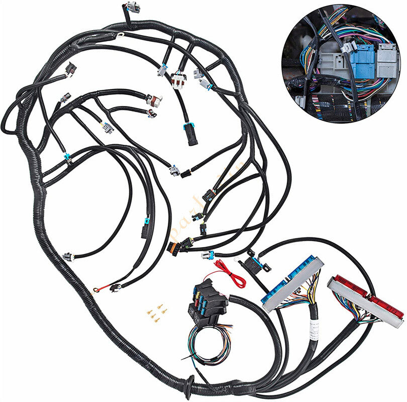 Independent wiring harnesses are suitable for DBC LS1 T56 or non-electric 4.8 5.3 6.0- 1997-2006. n