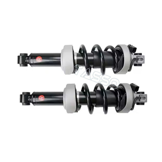 Pair Front Air Suspension Shock Absorber Fit for Audi R8 420412019AH 420412020AH n