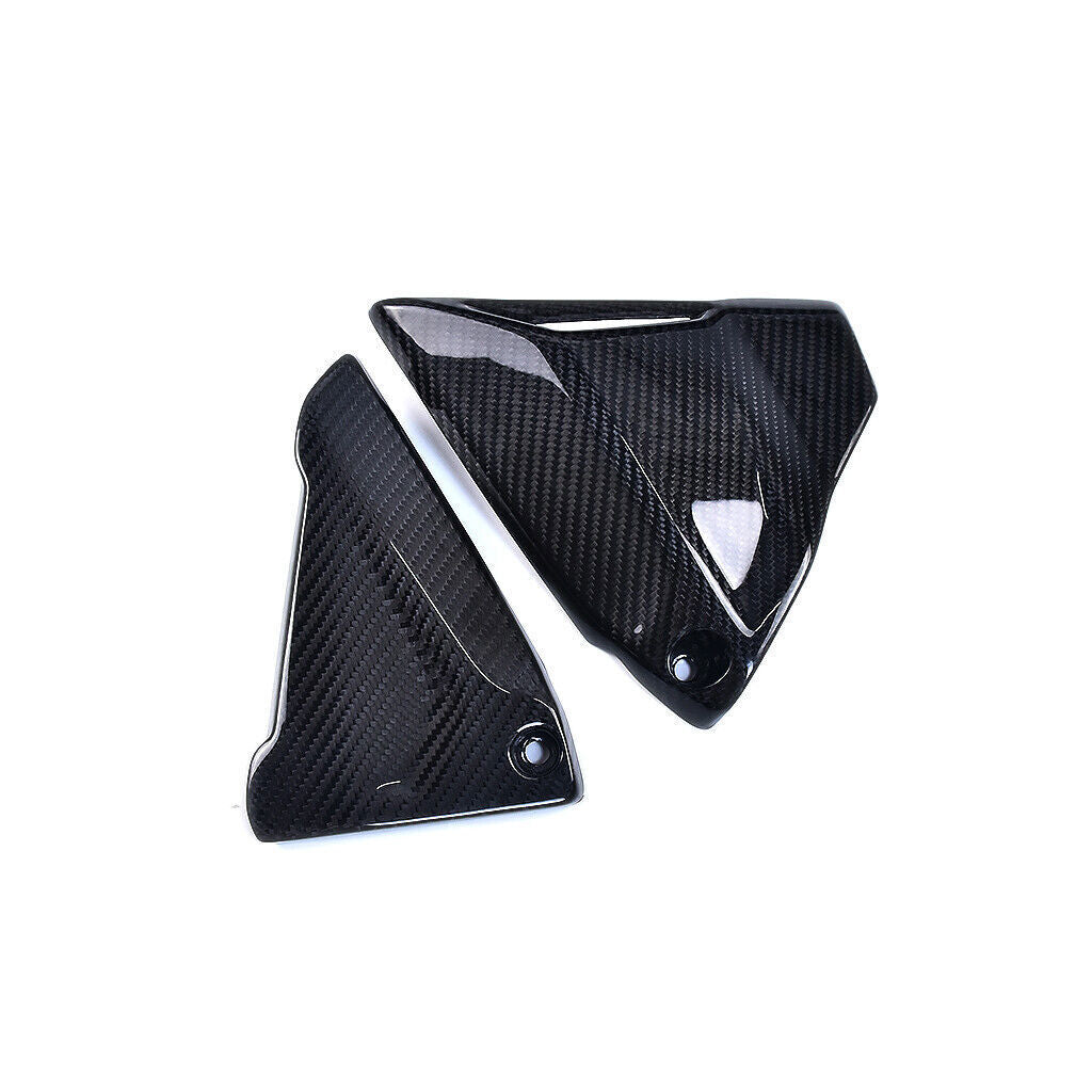 Fiber side panel frame cover R1250GS 2017-2023