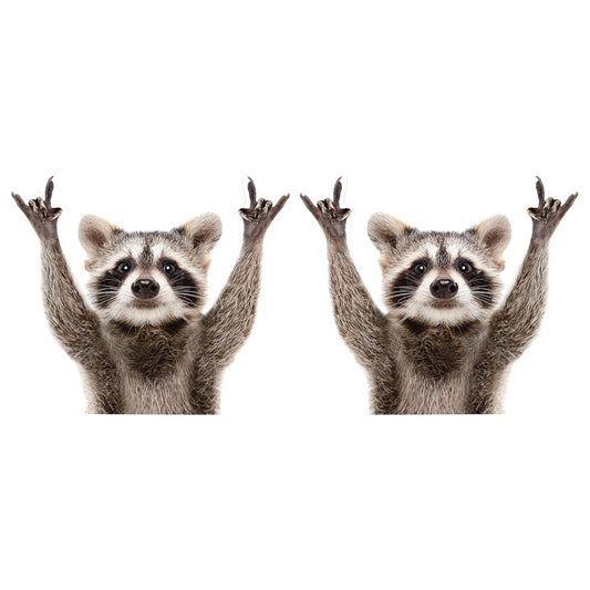 2pack Qute Raccoon Car Back Rear Window Decal Vinyl Stickers Funny Car Sticker
