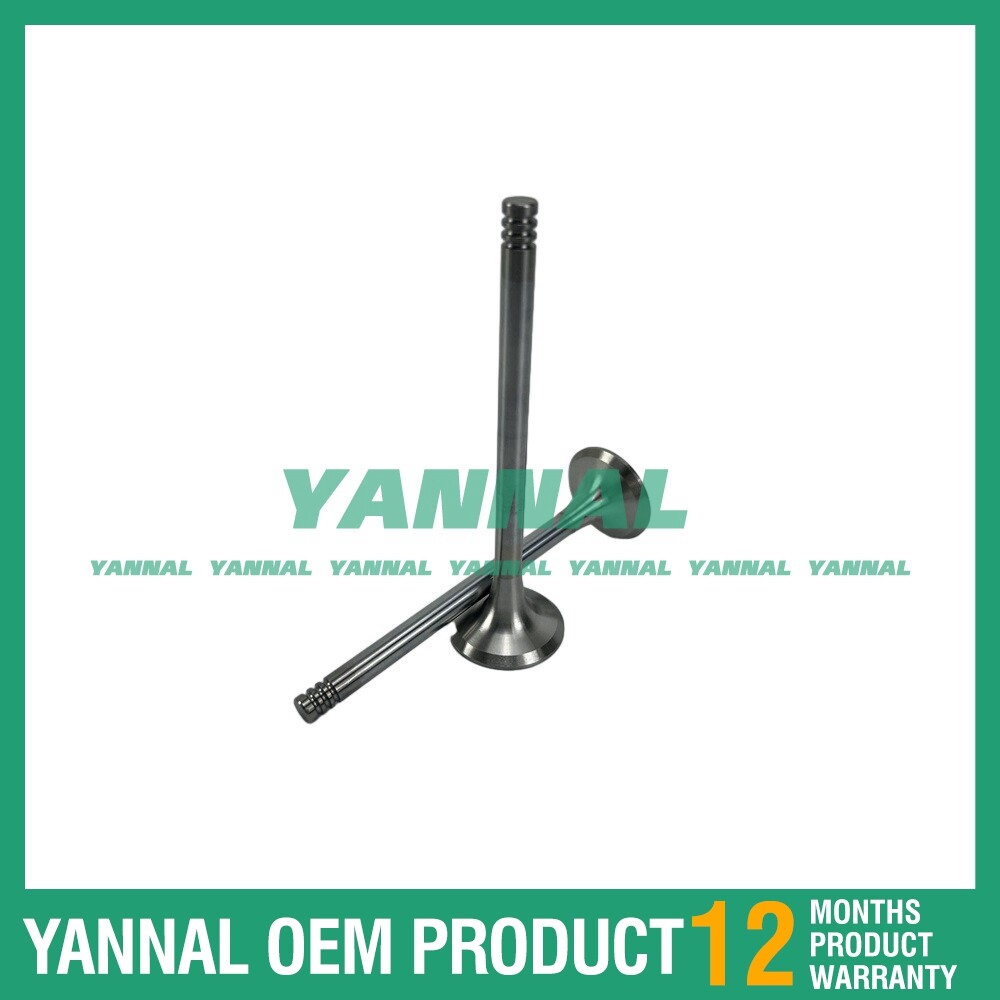 0428-0048 Intake and exhaust valves for Deutz F2L1011F engine spare parts -