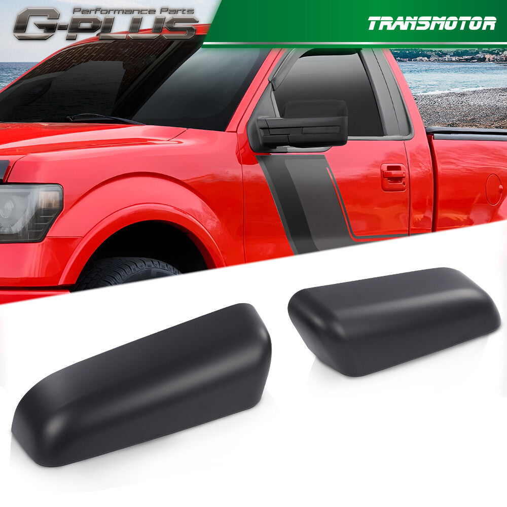 2009-2014 Shuifu Edition F150 Sea Phoenix Fish Powder 1 Q