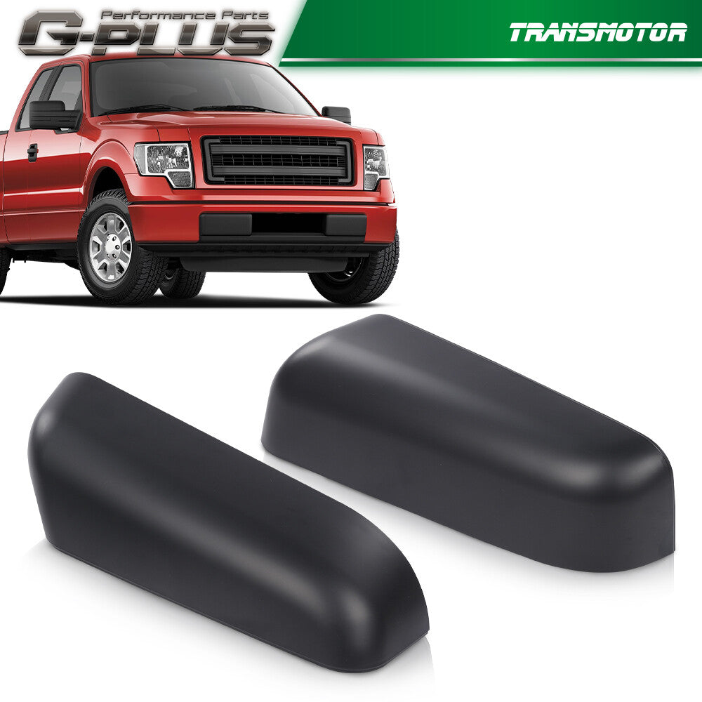 2009-2014 Shuifu Edition F150 Sea Phoenix Fish Powder 1 Q