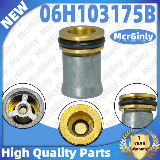 Engine cylinder head check valve suitable for Passat , for Jetta , for Golf , for Audi A4, for A8 , Q5, TT- n