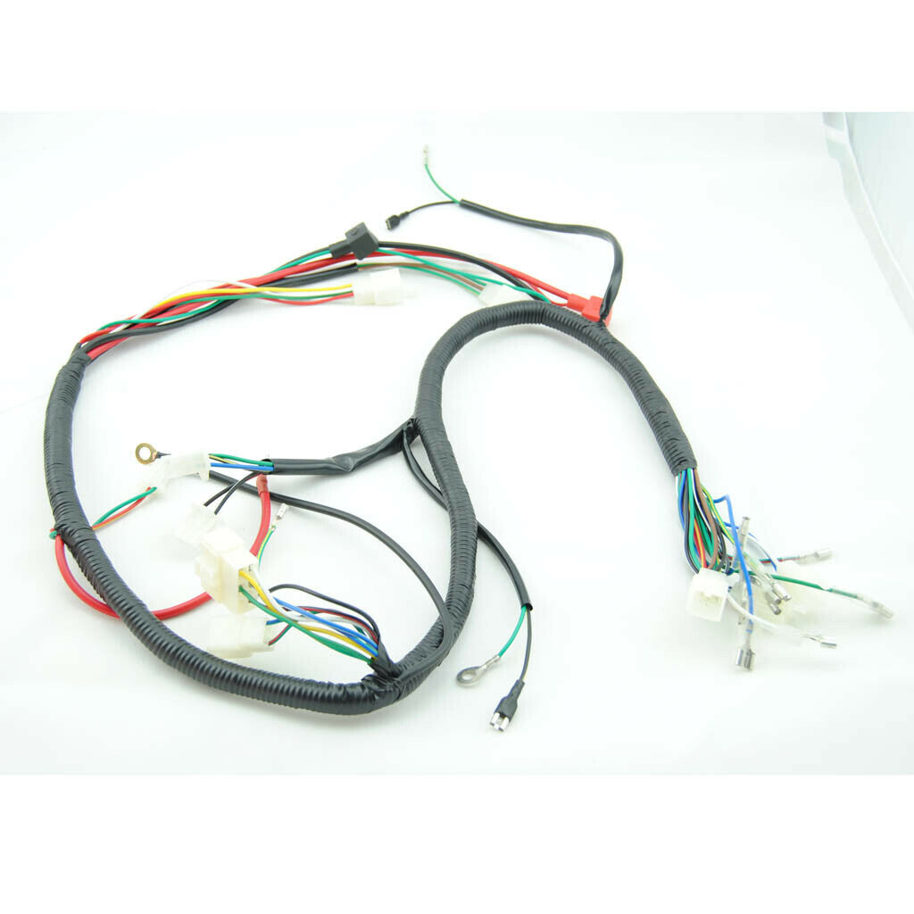 Engine AC Wiring Harness Wiring Loom 150cc 250cc PIT Quad Dirt Bike ATV Buggy