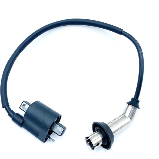New Ignition Coil For Bashan 200cc 250cc BS200 BS200S-7 BS250 ATV Quad Dirt Bike