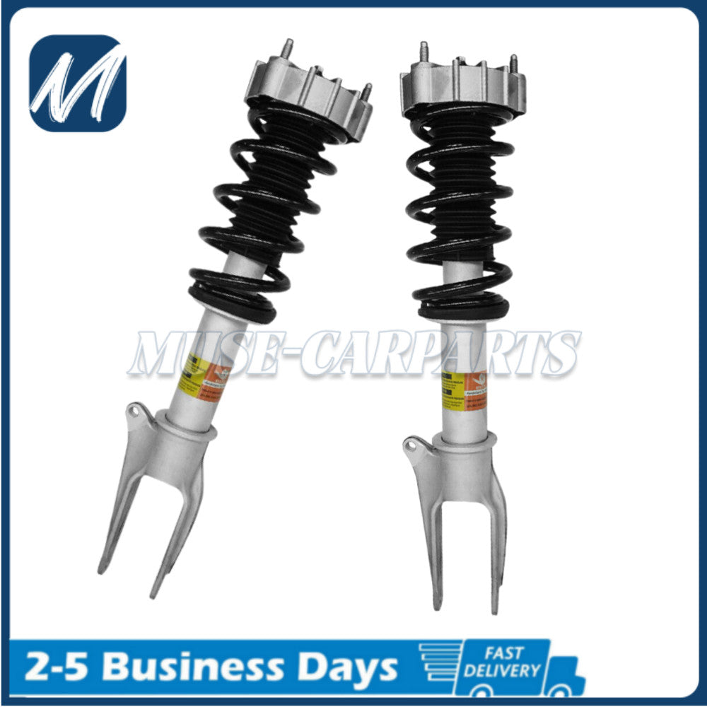 2X Fit for Lincoln MKX 2016-2018 Front Shock Absorbers Struts Spring Assys Electric