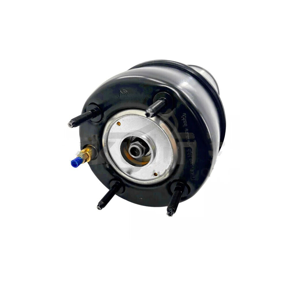 Rear Left or Right Air Suspension Shock Strut for Jaguar XJ8,XJR,X350 C2C41343 n