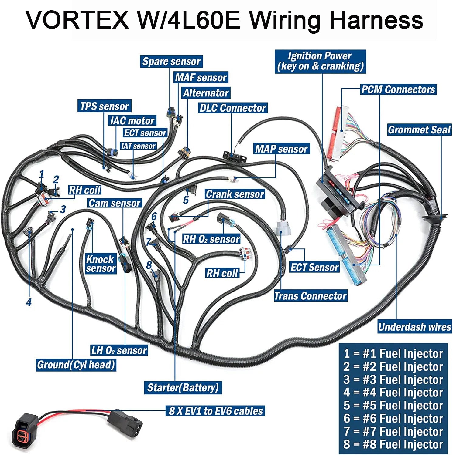 DBC Stand Alone Harness Drive by Cable for 99-06 LS1 4L60E LS SWAP 4.8 5.3 6.0L- n
