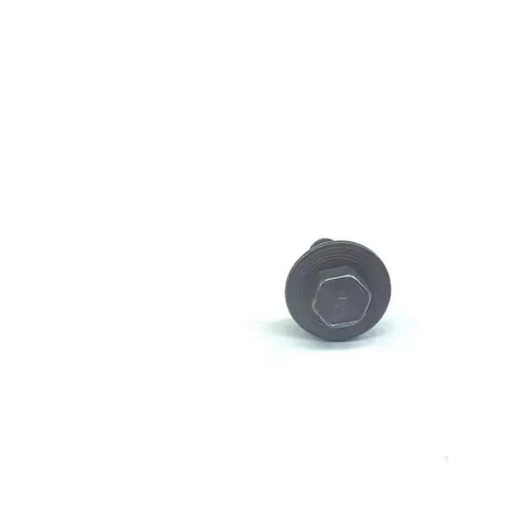 N90629803 Thermostat Housing Fixing Screw Bolts for VW for Seat for Skoda Q