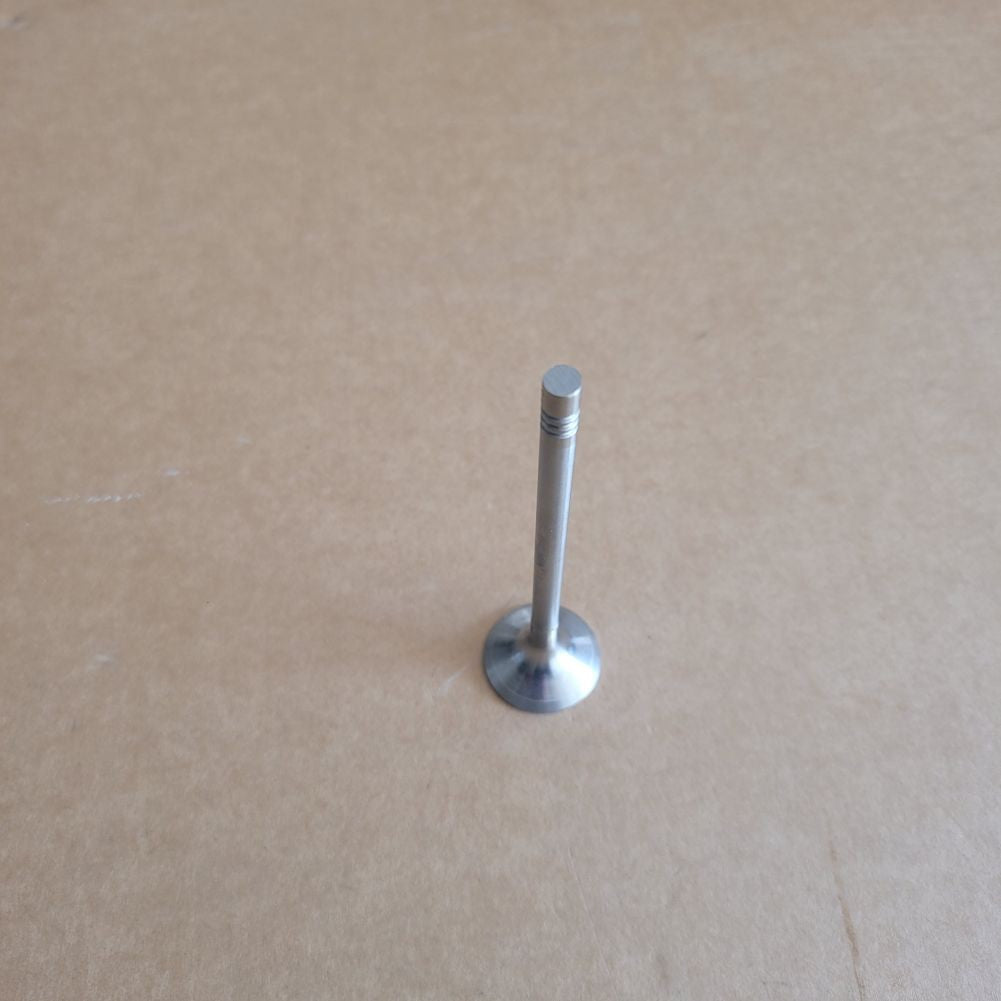 Engine Valves Set for Mercedes-Benz E63 W212 11-20