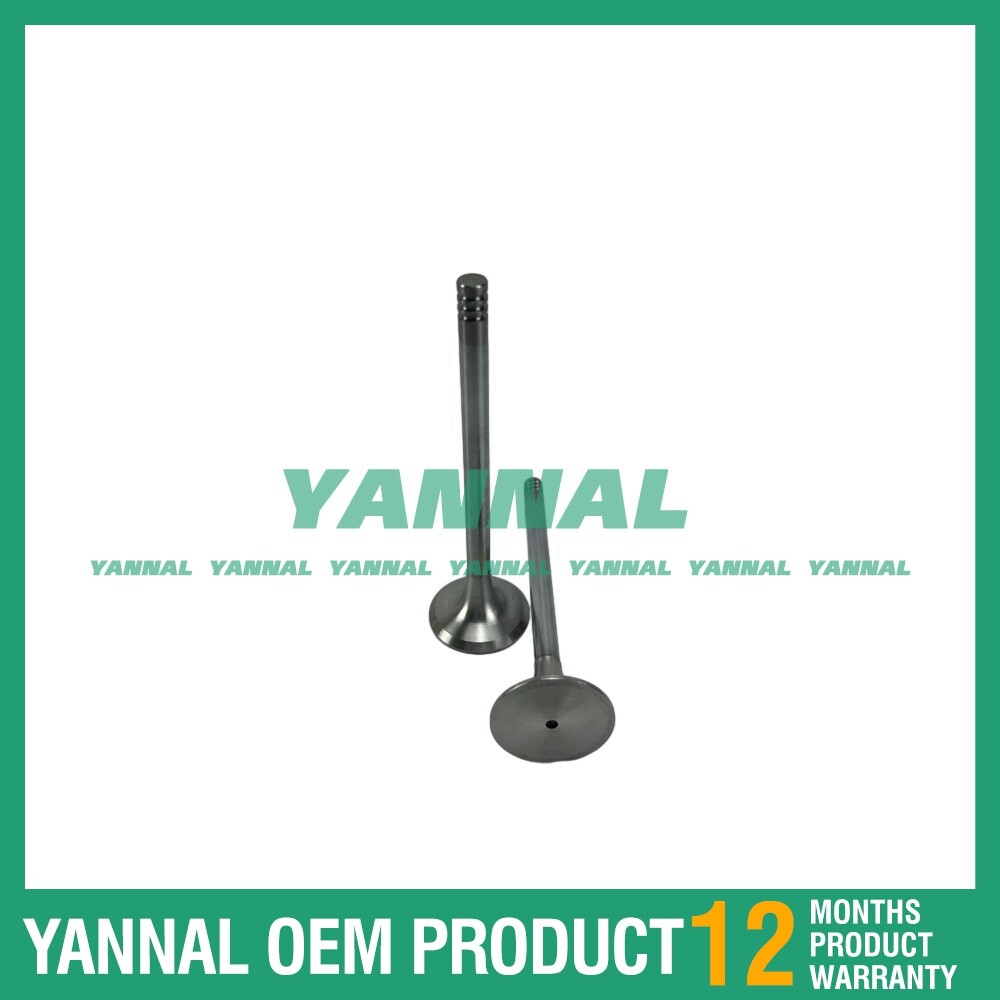 0428-0048 Intake and exhaust valves for Deutz F2L1011F engine spare parts -