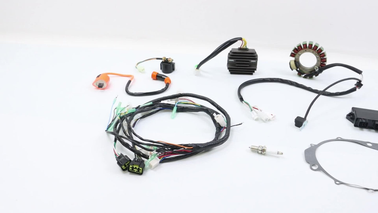 Wiring harness ignition coil CDI stator + gasket for Yamaha Warrior 350 YFM350X- n