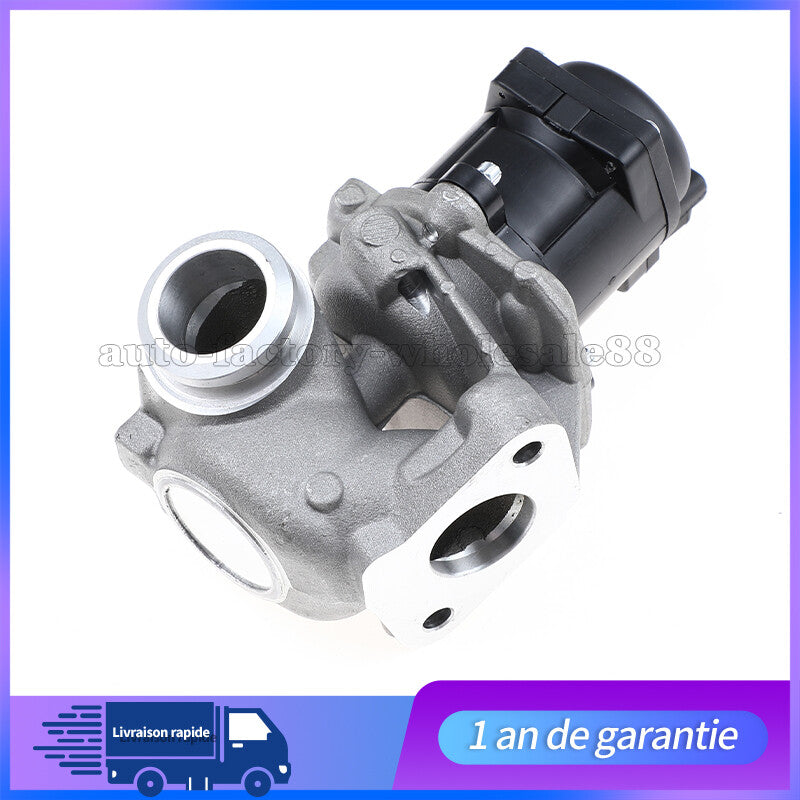 Vanne EGR pour for Peugeot 207 307 308 407 1.6Hdi 90cv 110cv for CITROEN C3 C4 C2 161859 n