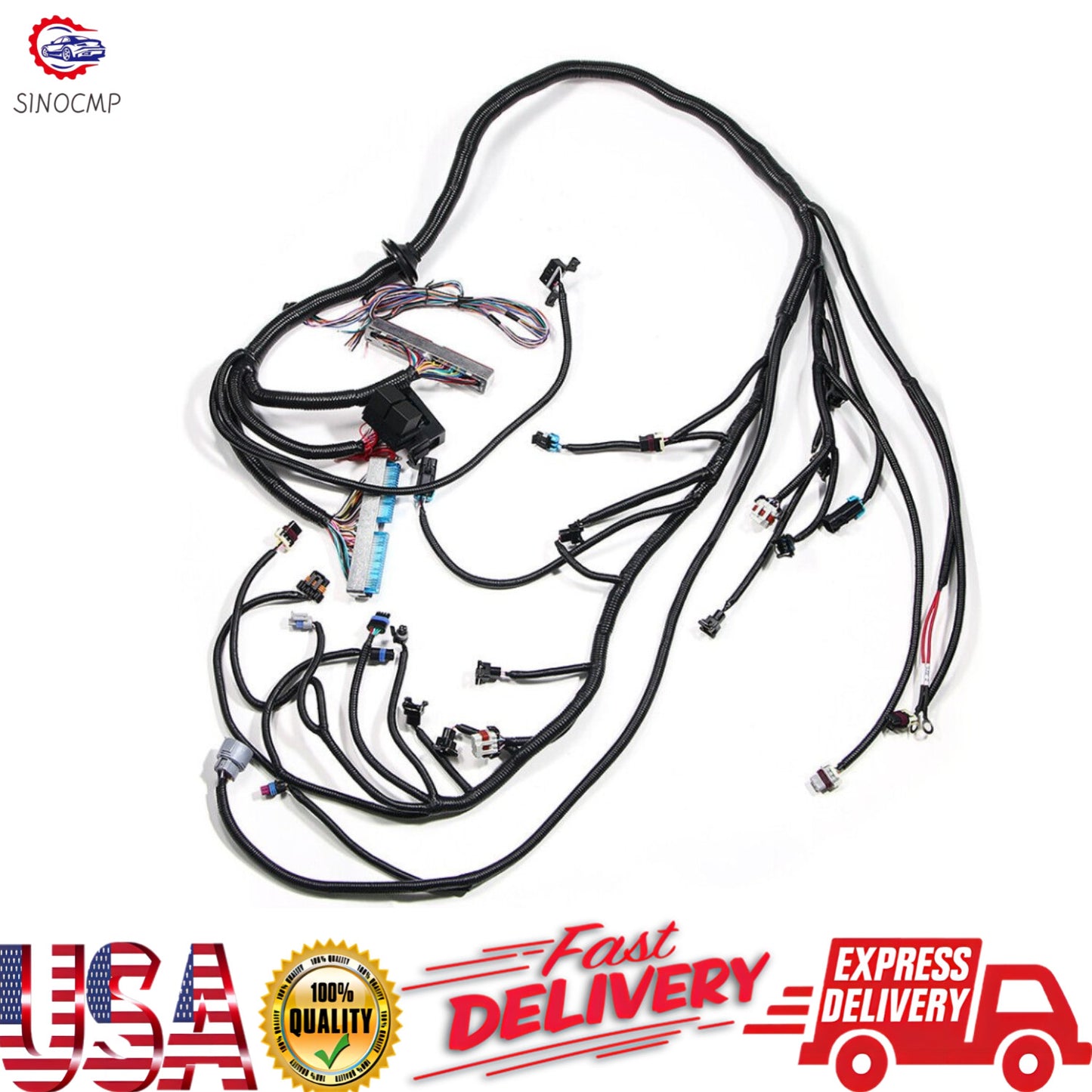 W/4L80E Standalone Wiring Harness (DBC) for 97-06 LS1 LS LS6 SWAP VORTEC US