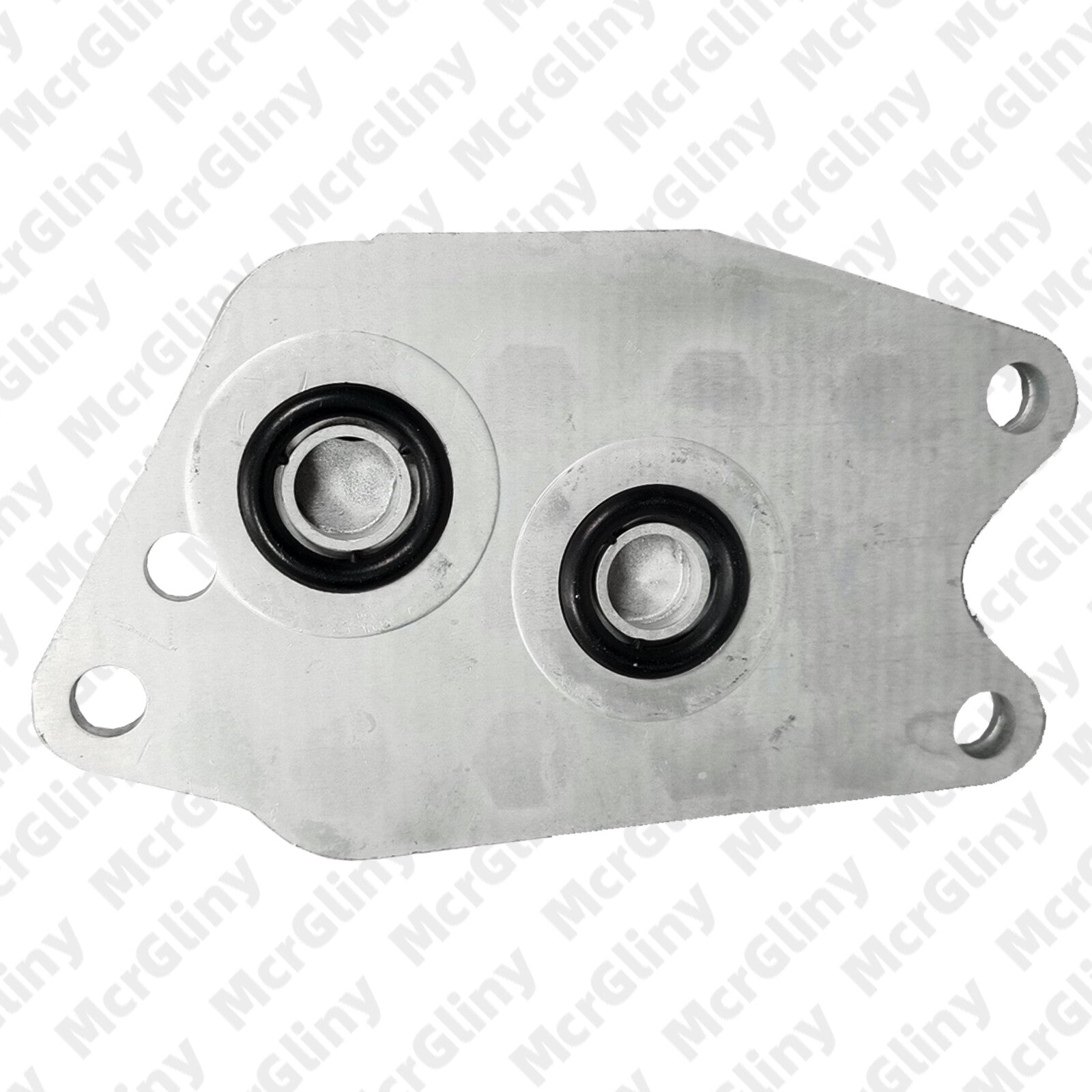 Gasoline engine oil cooler suitable for POLO Classic 08-2009 seats lbiza/ST 09G409061B- n