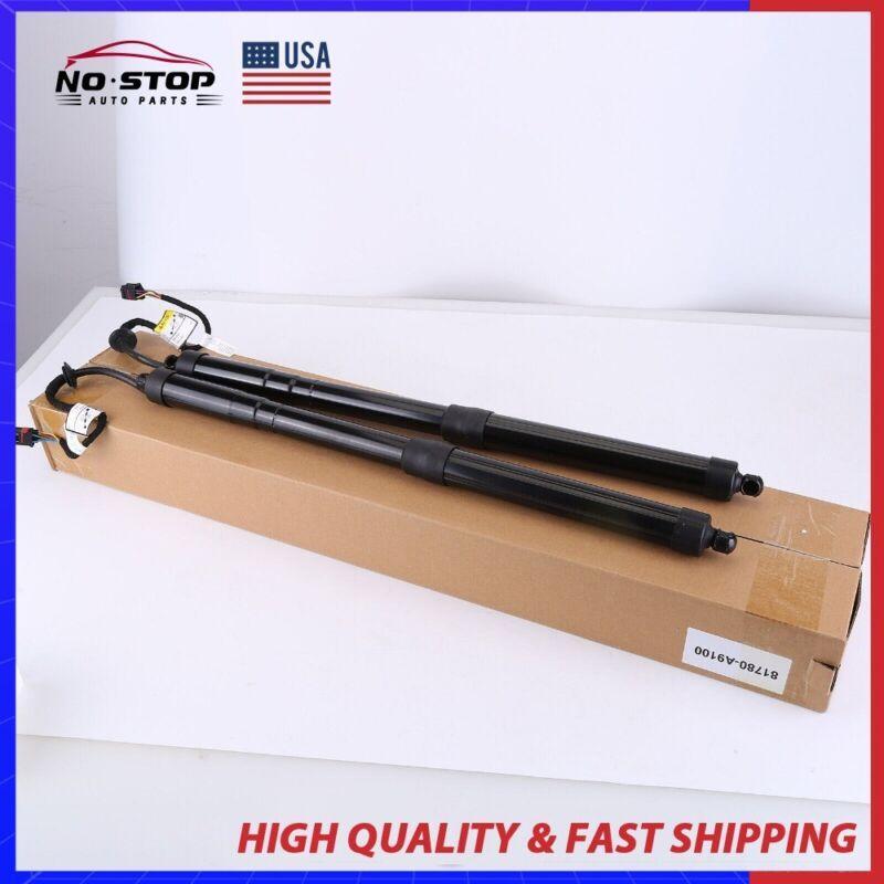 2-Piece Rear Tailgate Lift Power Hatch Support Struts for Kia Sedona 2015-2021 - Equipment Manufacturer