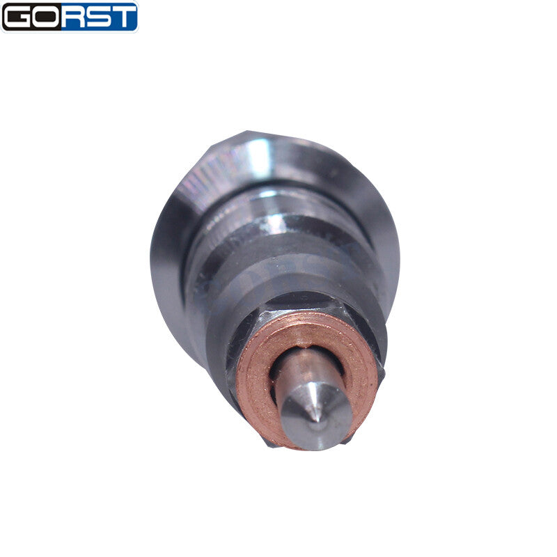 Diesel Fuel Common Rail Injector Assembly 0445120161 for Kamaz Kamminz ISBe ISDe v