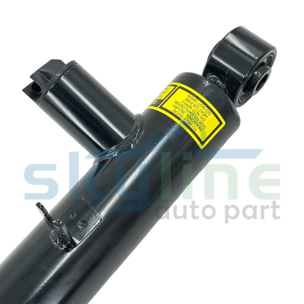 CSW rear shock absorbers suitable for Chrysler Town Country and for Dodge Grand Caravan