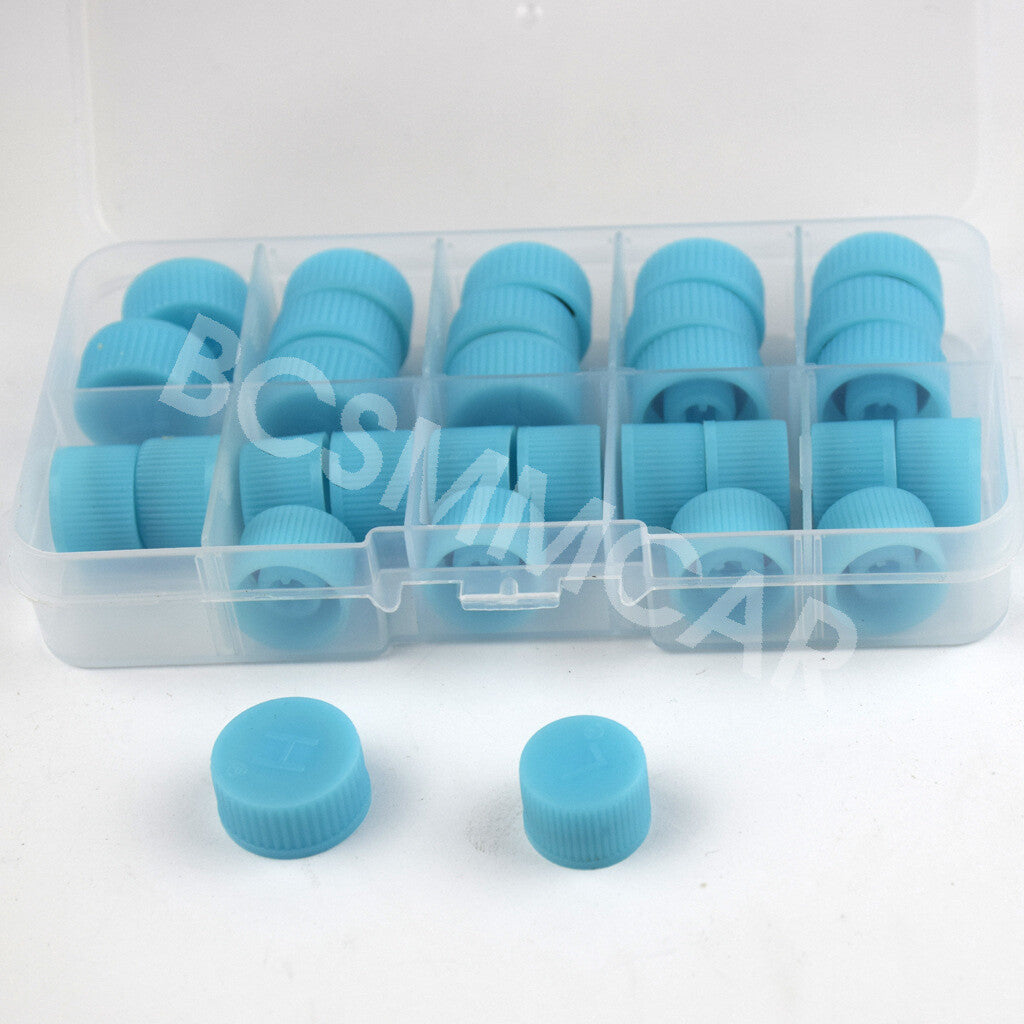 Car A/C Valve Side Cap Port Service Caps Auto 30Pcs Charging Valve Dust Cover Q