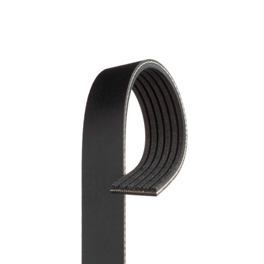 Serpentine Belt for Cadillac CTS 04-05 Q