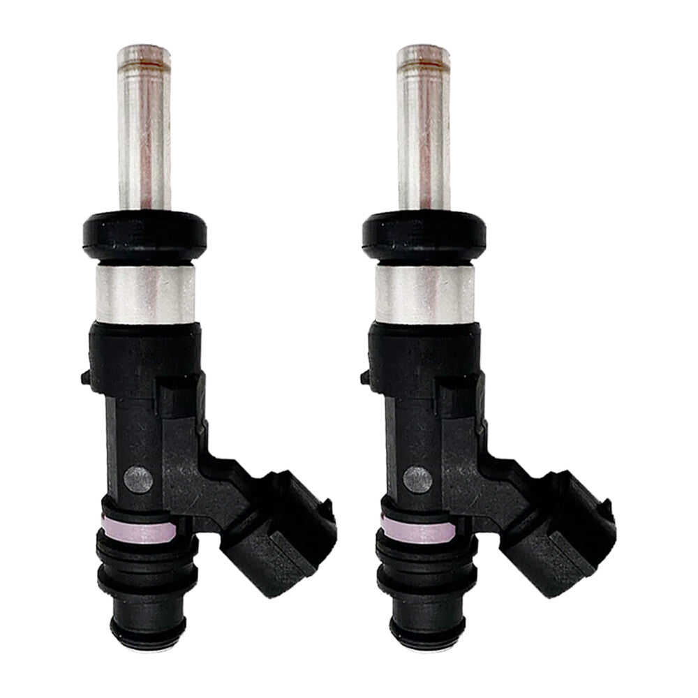 2x Fuel Injectors 15710-89L00 1571089L00 For Outboard DF 9.9HP 15HP BlackSilver Q
