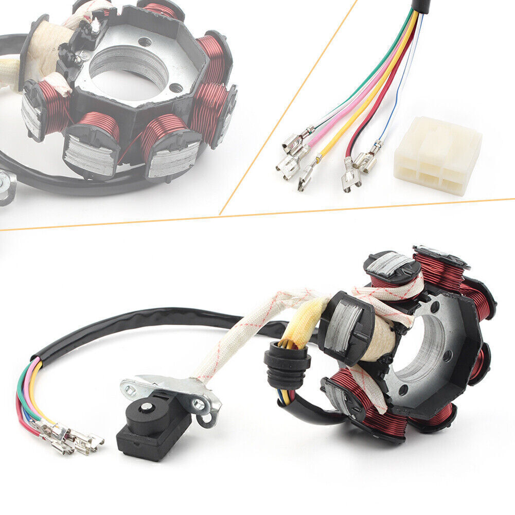 Fit 200 250cc Chinese ATV Quad Go Kart TaoTao Kandi Baja Stator Magneto 8 Coil