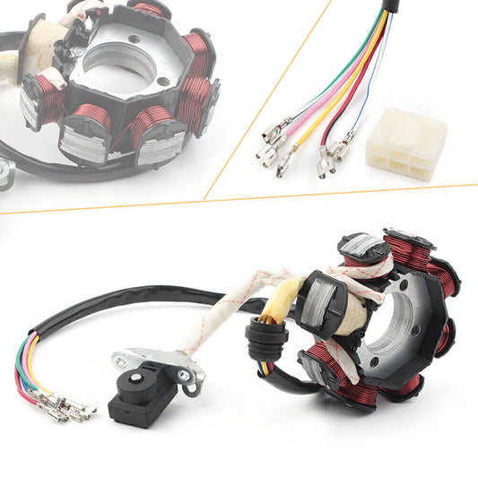 Fit 200 250cc Chinese ATV Quad Go Kart TaoTao Kandi Baja Stator Magneto 8 Coil