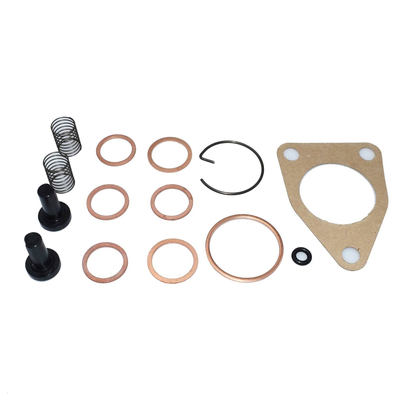 New gasket kit for DGK301 pump, supply pump ADS-DGK-301 feed pump kit 2447010004- n