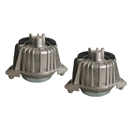 Front Pair Engine Mounts Motor Mounting Fits For E Class E200 E250 n