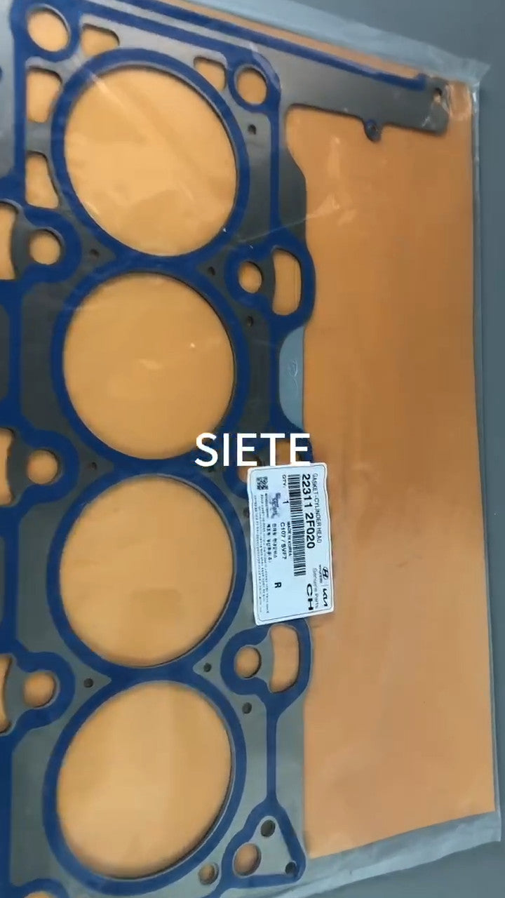 2021'024 for Sienna Left Sliding Door Weatherstrip Seal 67872-08040 G