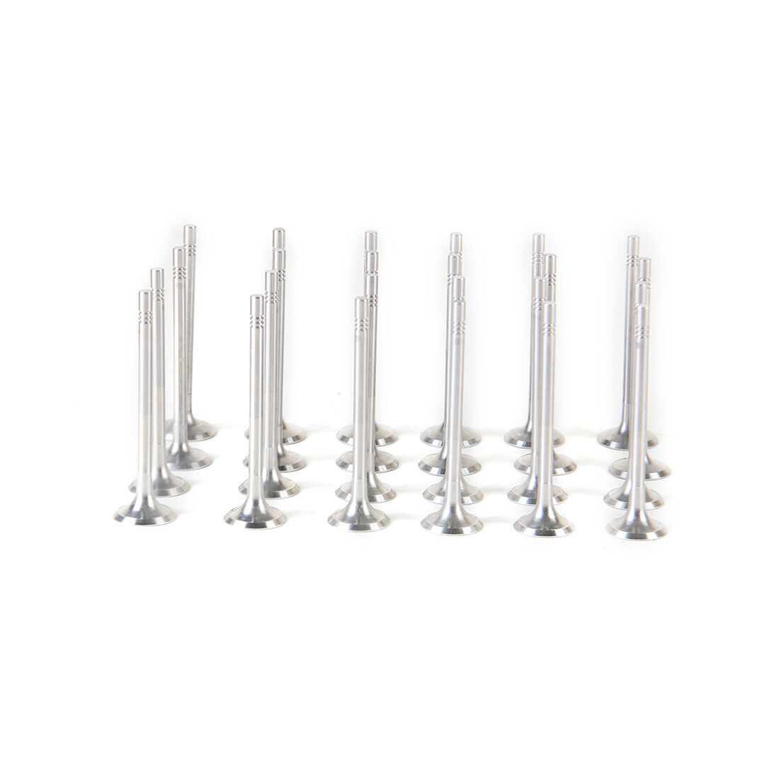 3.0TDI Intake and Exhaust Valve Kit for Volkswagen Touareg, for Audi A6, for A8 , Q7, CJG, CKV, CAL