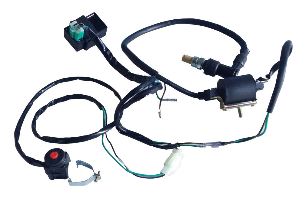 Magneto stator-flywheel harness kit for Lifan 110cc/125cc CRF70 Dirt bicycles