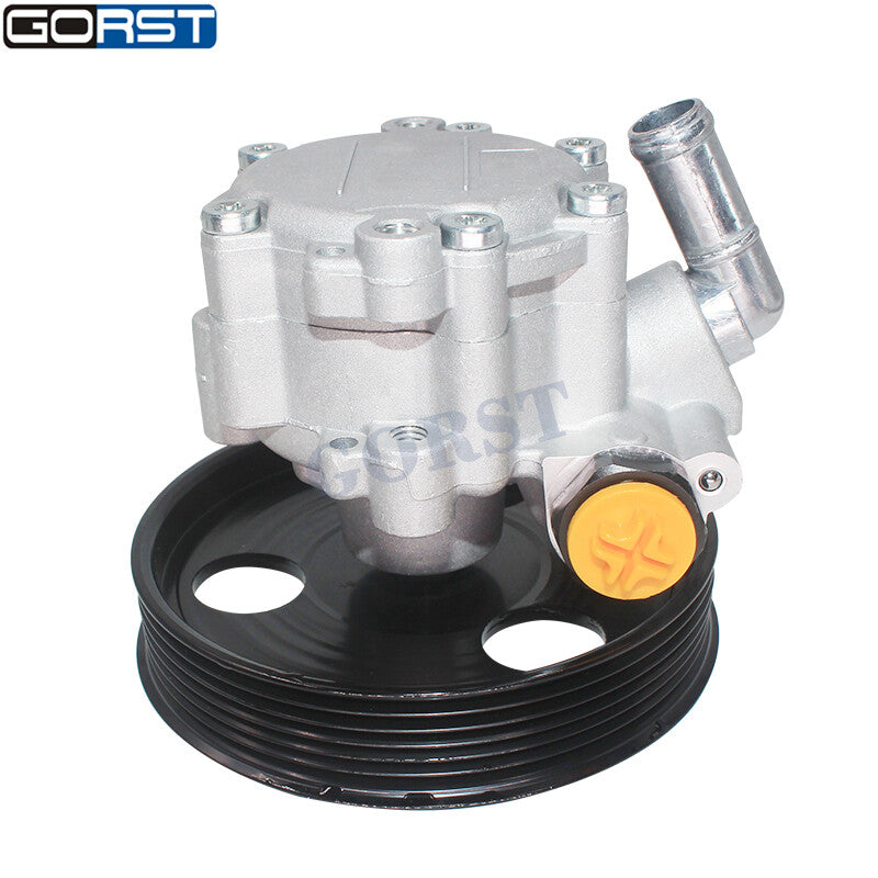 491108694R Power Steering Pump For Clio Kangoo Logan Megane Thalia for Dacia v