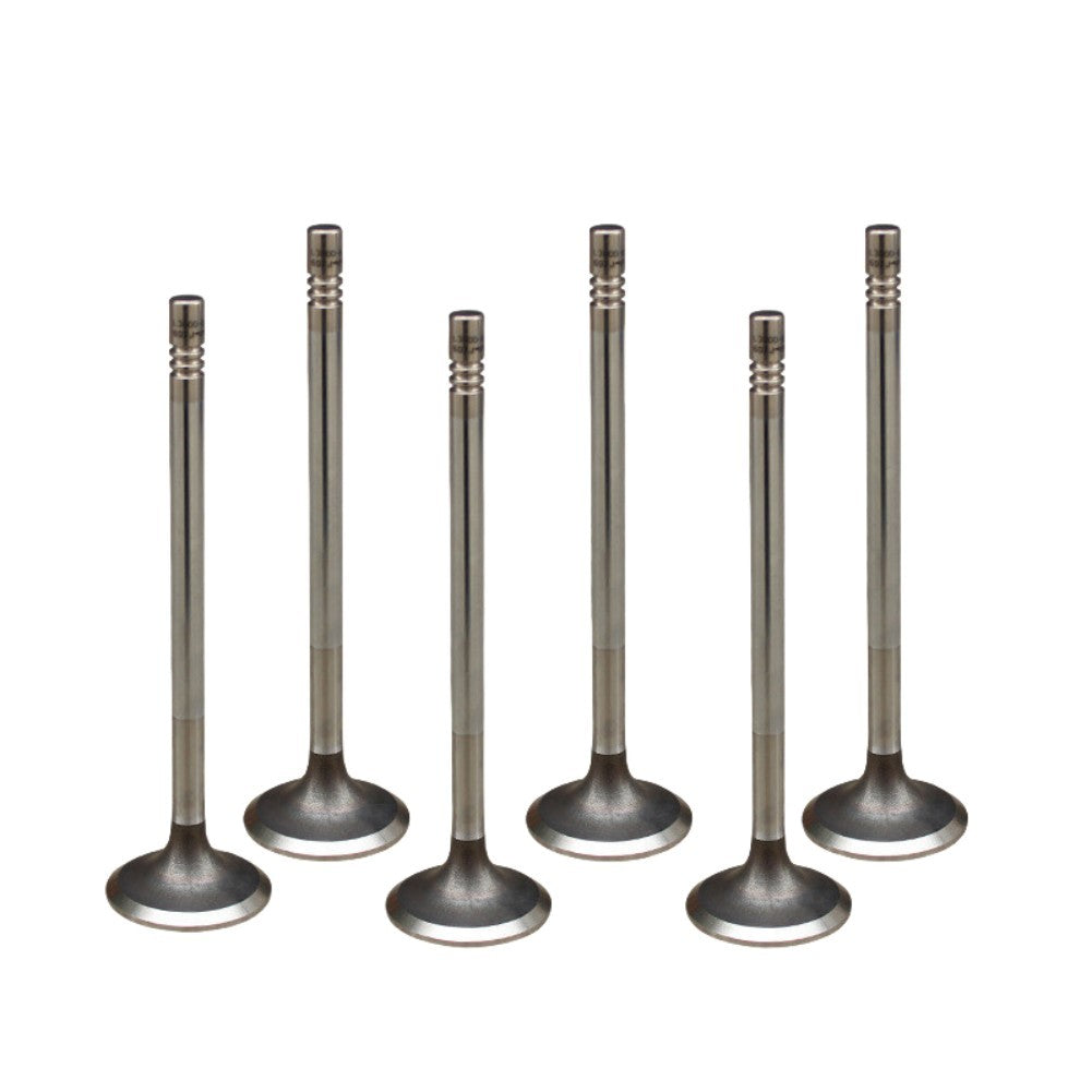 Valve Replace# 24101395 Q